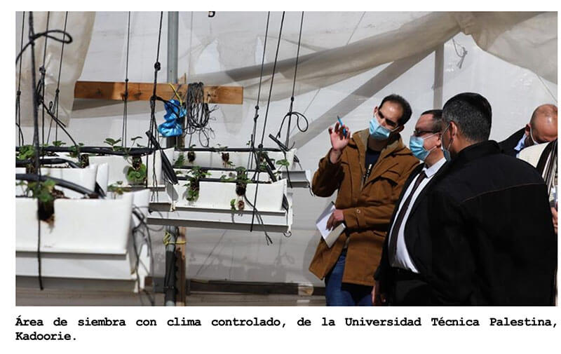 visita-universidad-palestina
